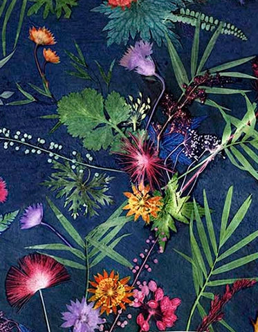The Tropical Collection | Blue Velvet | Accent Chair
