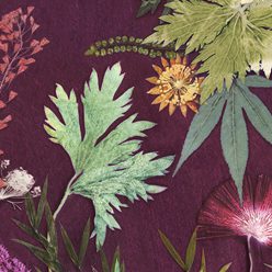 The Tropical Collection | Wine Velvet | Accent Chair