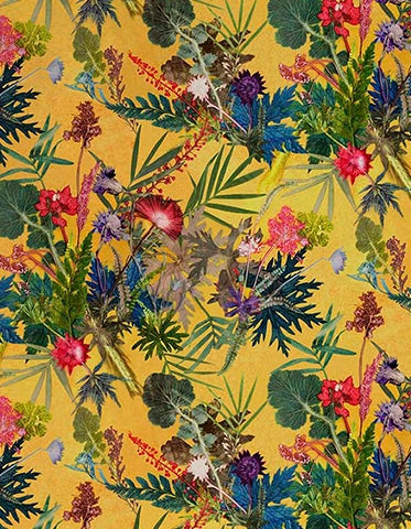 The Tropical Collection | Summer Velvet | Accent Chair